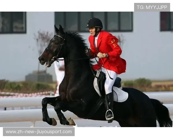 青年运动员转型培训项目为退役或伤退运动员提供新出路，运动员退役安置政策